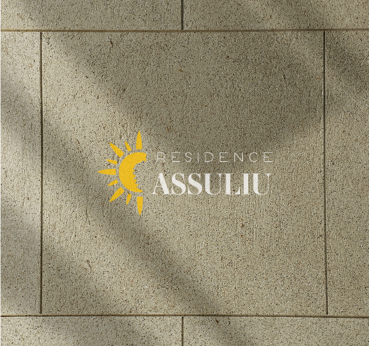 assuliu-mockup(1) | Héhocom